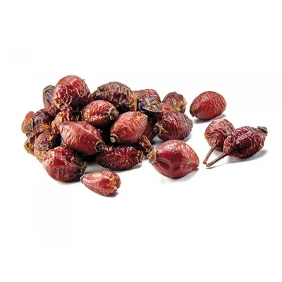 Шиповник морщинистый Альба Rosa rugosa Alba - купить декоративные и хвойные  растения с доставкой по Украине в магазине Добродар