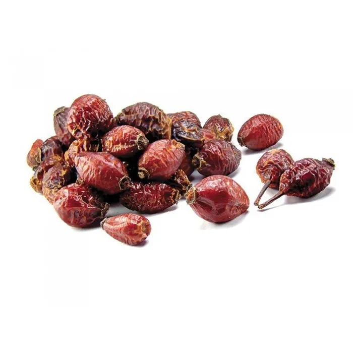 Шиповник морщинистый Альба Rosa rugosa Alba - купить декоративные и хвойные растения с доставкой по Украине в магазине Добродар Шиповник морщинистый Альба Rosa rugosa Alba - купить декоративные и хвойные растения с доставкой по Украине в магазине Добродар