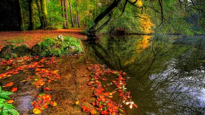 Картинки осенние для рабочего стола во весь экран (69 фото) » Картинки и  статусы про окружающий мир вокруг