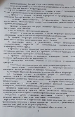 Патриотизм — веление времени! / Российский Союз ветеранов Афганистана  Тульская региональная организация