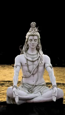 The Five Fundamental Forms of Shiva