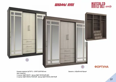 Шкаф-купе Фортуна - 34140 р, бесплатная доставка, любые размеры