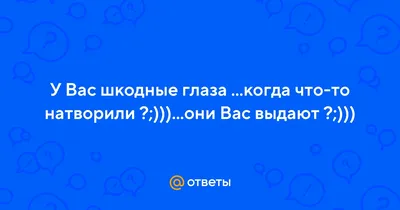 Шкодные коты художницы Кэти Лэм