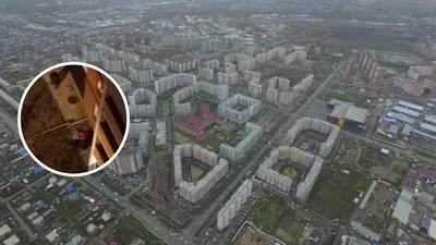 Школа 153: последние новости на сегодня, самые свежие сведения | НГС24 -  новости Красноярска