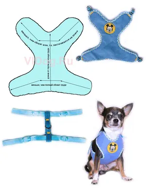 Выкройка шлейки для чихуахуа | Teacup dog clothes, Dog accesories, Dog  clothes patterns