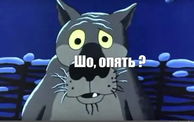 Шо опять? | Пикабу