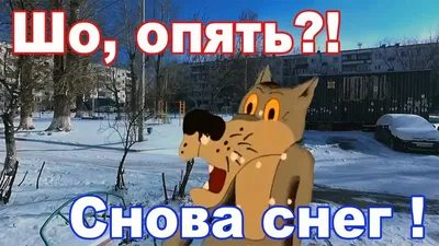 Чашка Шо опять?|Чашка Що знову? (ID#1362154081), цена: 144 ₴, купить на  Prom.ua