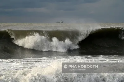 Шторм в Сочи | РИА Новости Медиабанк