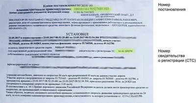 Проверка наличия штрафов ГИБДД в Казани - РосШтрафы