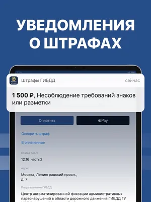 В Зеленограде парни специально нарушили ПДД, чтобы камера их сняла для  штрафа, а у ребят получилось групповое фото | Пикабу