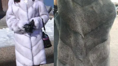 Элегант пальто Outlet в Брянске - розничная продажа женской верхней одежды  по ценам производителя недорого | Элегант Outlet