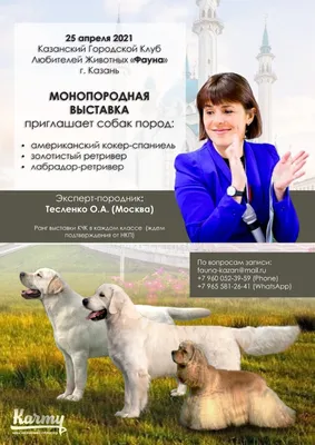 Муса Джалиль тут жил, а Маяковский где-то рядом пил – рассказываю о нашем  доме в Казани | Polienko: путешествуем вдвоём | Дзен