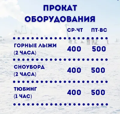 На должность ректора СибГУФК избран Олег Шалаев | Образование, Спорт | Омск -информ