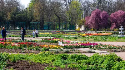 Почему в Крым едут на отдых с семьей, и сколько это стоит | 11.07.2020 |  Симферополь - БезФормата