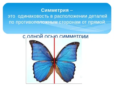 Потрясающая подборка снимков, иллюстрирующих симметричные фигуры в  презентации о петерсоне Фигура на welcomevolunteer.ru