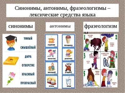 Рисунок на тему синонимы (48 фото) » рисунки для срисовки на Газ-квас.ком