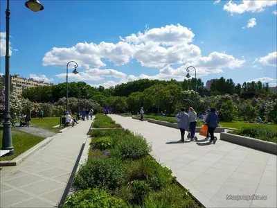 Сиреневый сад, Парк «Сокольники», Москва — ParkSeason