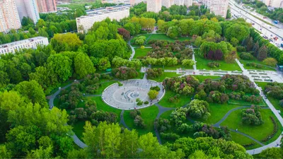 Прекрасный Сиреневый сад... - Северное Измайлово - ВАО Москва | Facebook