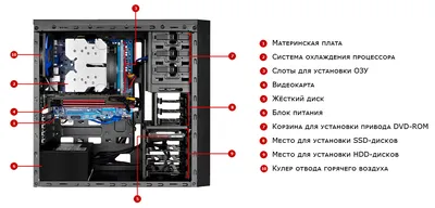 Обзор и тестирование системных блоков Brain Top Gamer Z800 / Overclockers.ua