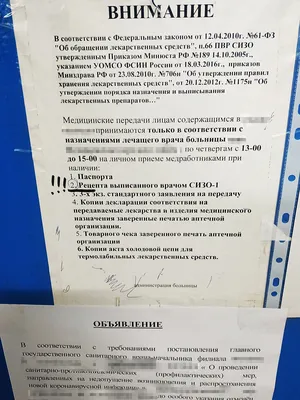 Украинских врачей не пустили к Павлу Грибу, сидящему в СИЗО в Краснодаре