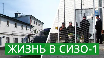 В ГУФСИН по краю на жалобу Олега Митволя заявили, что собаки лают с 8 до 17  ч, а курей уберут » Запад24