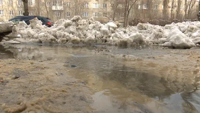 Уничтожение знаменитого квартала мойщиков запланировали власти в Воронеже