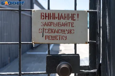 Актер сериала «Слово пацана» Сергей Базанов отправлен в СИЗО на два месяца:  в чем его подозревают
