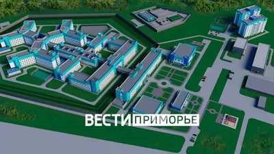 Вице-мэра Владивостока Ляйфера отправили в СИЗО на 2 месяца за взятки -  KP.RU