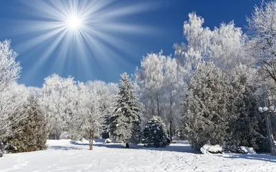 Обои на телефон: Зима, Новый Год (New Year), Рождество (Christmas Xmas),  Снеговики, Праздники, 14075 скачать картинку бесплатно.