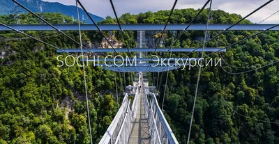 SKYPARK - Трансфер в Скайпарк | экскурсии в Сочи и Адлере