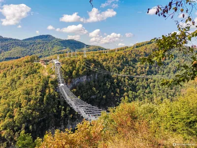 SKYPARK AJ Hackett Sochi in the Sochi National Park. The longest suspension  footbridge in the world Stock Photo | Adobe Stock