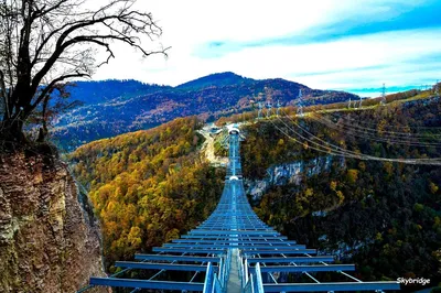 SKYPARK - Трансфер в Скайпарк | экскурсии в Сочи и Адлере