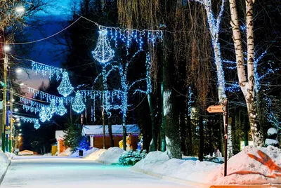 Сказочная зима в ущелье Алтын-Арашан #winter #winters #winterwonderland  #wintervibes #wintertime #winterforest #forest #snow #snowday… | Instagram