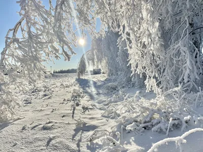 Сказочная зима | Пикабу