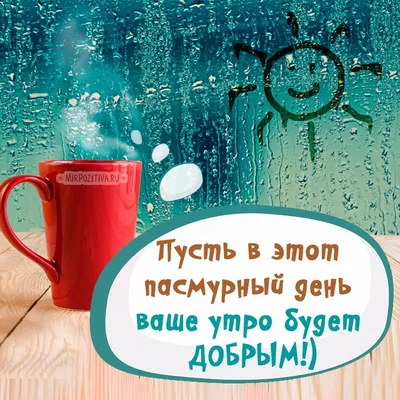 Доброе утро: веселые и красивые картинки с пожеланием хорошего утра |  Joy-Pup - всё самое интересное! | Дзен