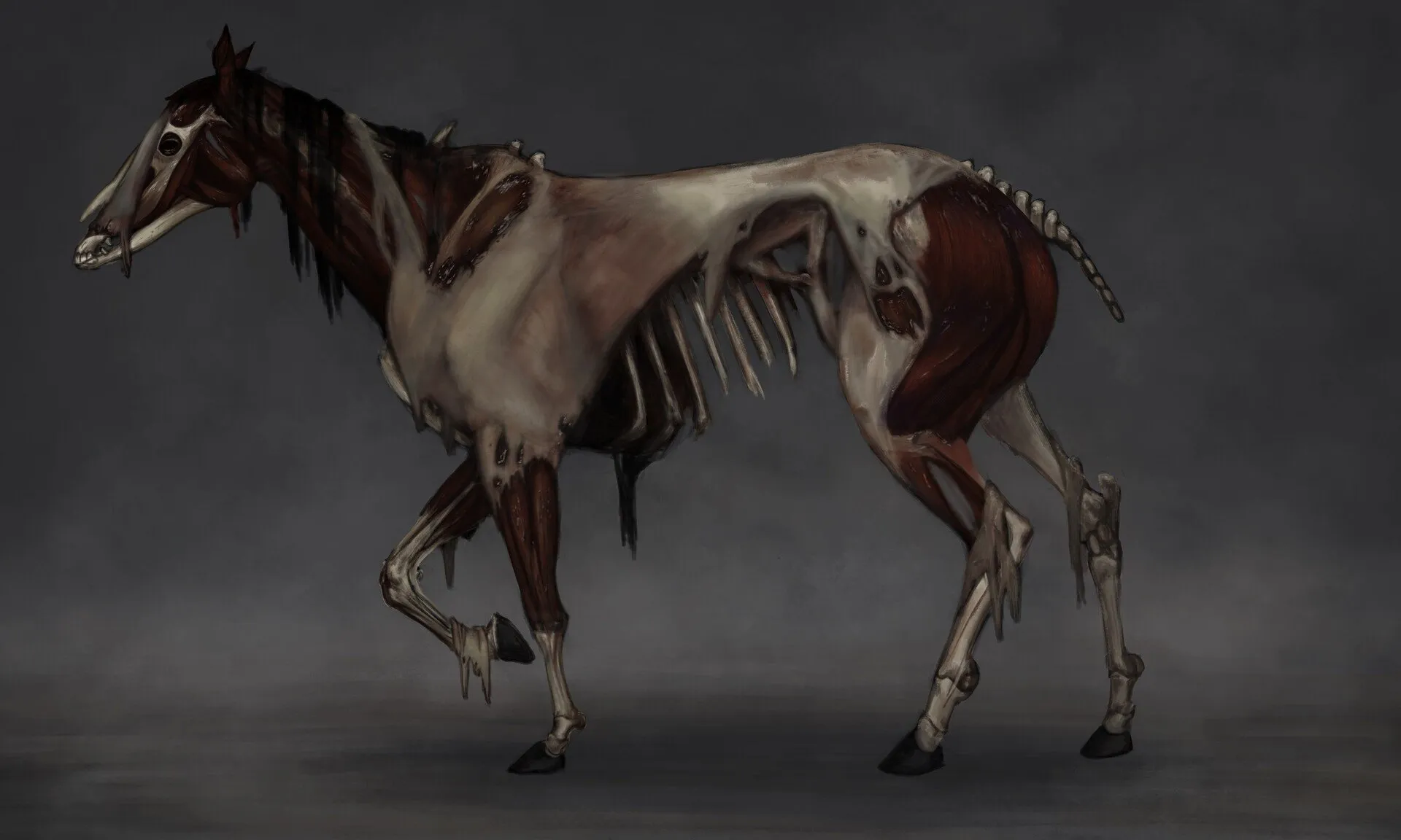 Zombie horse. Келпи лошадь скелет. Существо ТРЕВОРА Хендерсона лошадь скелет. Тревор Хендерсон лошадь. Скелет лошади ДНД.