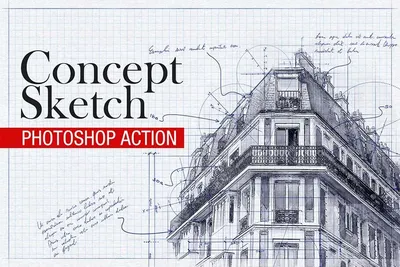 How to Digitize a Sketch in Adobe Illustrator? 4 Steps | Skillshare Blog