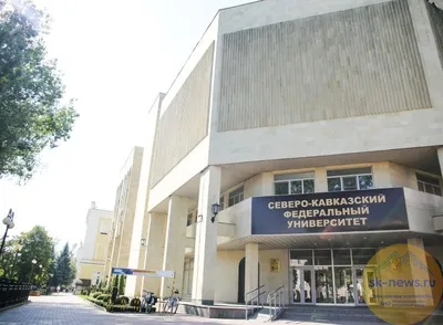 В Ставрополе при СКФУ стартовали курсы первой медицинской помощи для  волонтеров » Городской Телеграфъ