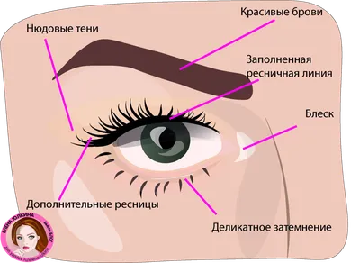 Композиция в рисунке и фотографии. Схемы. | Творческий переполох | Дзен