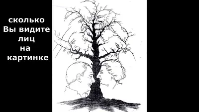 Сколько лиц на картинке? Самый точный и короткий тест на возраст мозга —  пройдите его за 60 секунд - 26 февраля 2023 - 161.ру