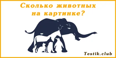 Проверьте свою внимательность: сколько лиц вы видите на картинке? | Картинки,  Лицо, Тесты личности