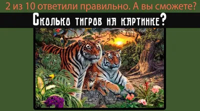 Попробуйте посчитать тигров на картинке, многие видят только 5, а на самом  деле... | Головоломки и загадки | Дзен