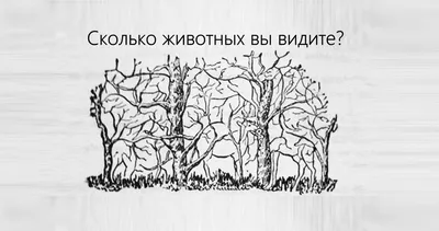 Сколько животных изображено на рисунке со слоном? | ВАШАКОМНАТА.РФ интернет  магазин мебели | ВКонтакте