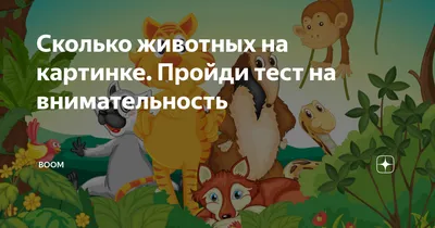 Посмотрите на картинку... - Профориентация старшеклассников. | Facebook