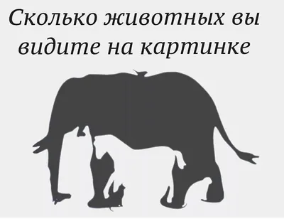 Попутка Кыргызстана - Посчитайте животных на картинке🤔 ⠀ Троих мы все  увидели, а остальных вам придётся поискать😉 ⠀ А в комментариях пишите,  сколько нашли животных😎👇🏻 | Facebook