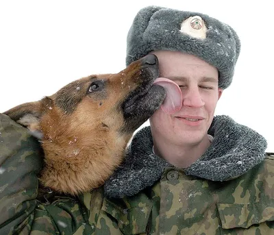 Скоро домой стюардесса Тайских …» — создано в Шедевруме