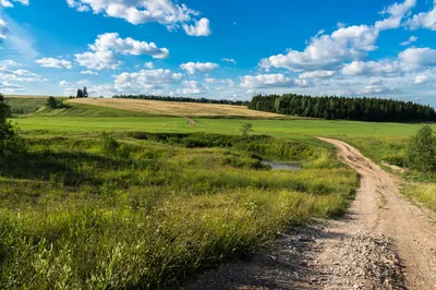 Скоро лето картинки фотографии