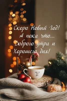 Скоро- скоро Новый год! – Слонимский государственный медицинский колледж