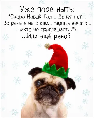 Скоро будет Новый год! (До и после) ~ Открытка (плейкаст)