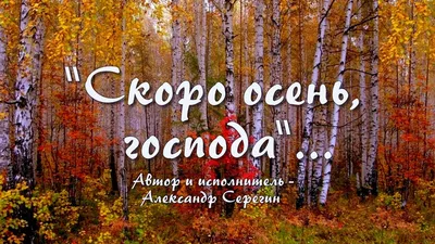 Скоро осень, листья, лес, крупным …» — создано в Шедевруме